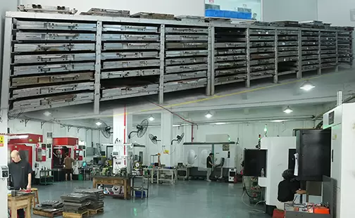 मोल्ड्स शोइंग रूम